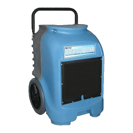 best dehumidifier for basement